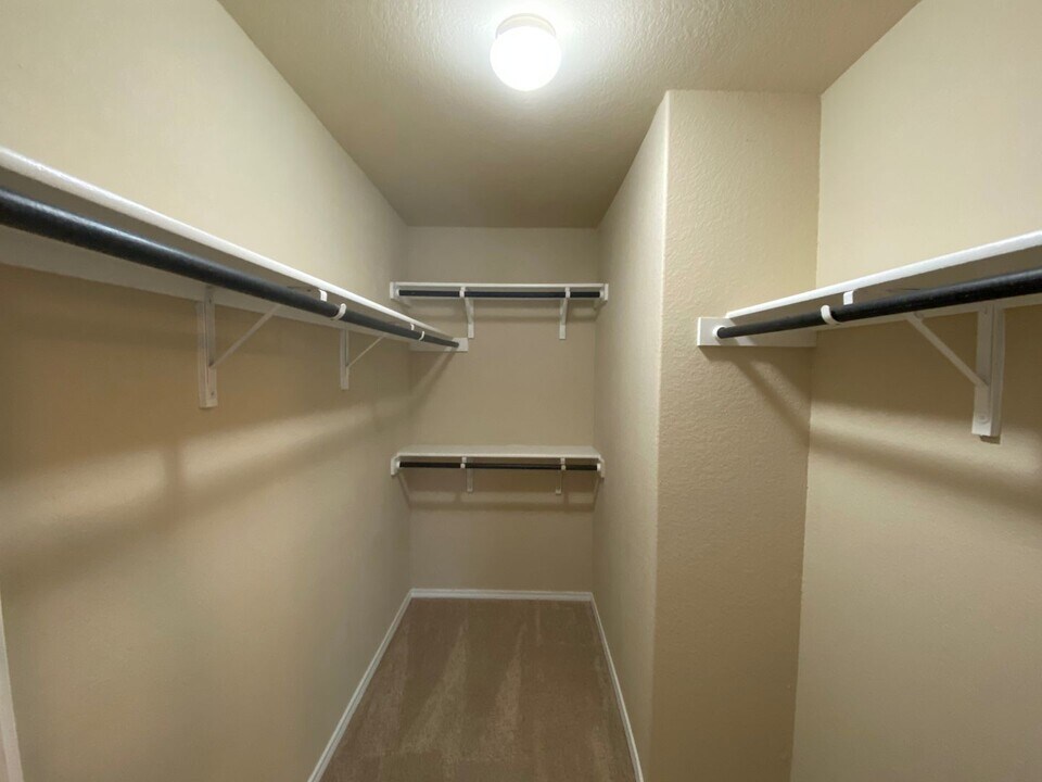 1414 Scent of Basil in San Antonio, TX - Building Photo