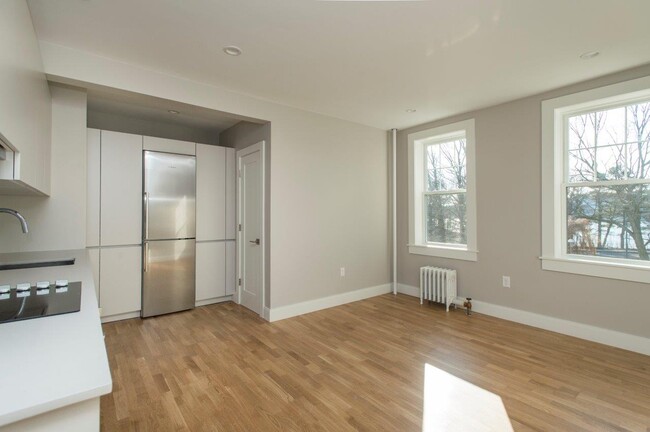 245 Chestnut Hill Ave, Unit 17 in Boston, MA - Building Photo - Building Photo