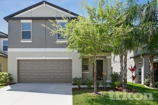 12727 Lemon Pepper Dr in Riverview, FL - Building Photo