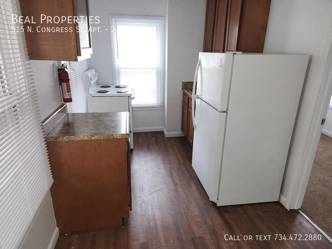 515 Congress St in Ypsilanti, MI - Building Photo - Building Photo