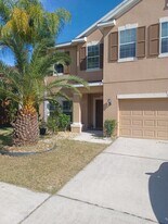 20303 Autumn Fern Ave in Tampa, FL - Building Photo