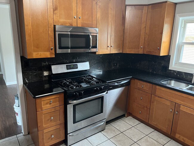 1050 W Touhy Ave, Unit 2 in Park Ridge, IL - Building Photo - Building Photo