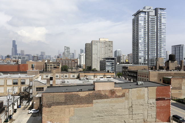 The Shelby in Chicago, IL - Building Photo - Other