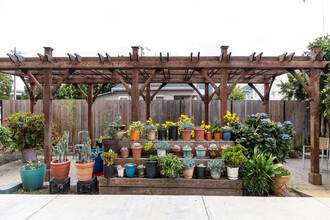 Northgate Terrace in Oakland, CA - Foto de edificio - Building Photo