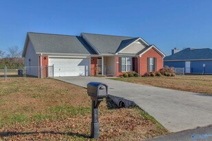 113 Delta Pine Dr in Huntsville, AL - Building Photo