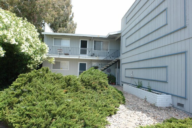 2339 Monroe St in Santa Clara, CA - Foto de edificio - Building Photo