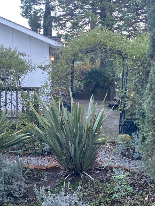 property at 130 Lily Vine Ln