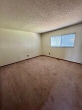 4430 Hopeful Way in Colorado Springs, CO - Building Photo - Building Photo