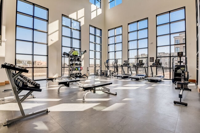 3701 Dr. Martin Luther King Jr. Dr, Unit 1303 in Arlington, TX - Building Photo - Building Photo