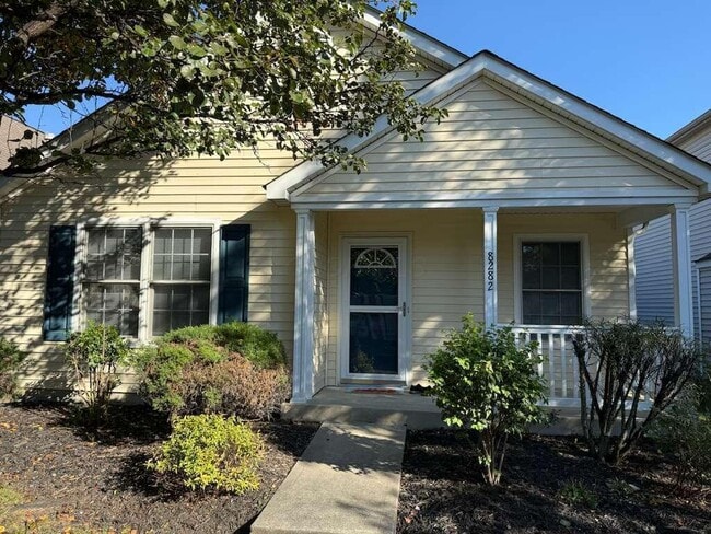 property at 8282 Mira St