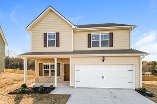 11152 Shadow Creek Terrace in Hampton, GA - Building Photo