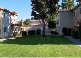 Cambria Park Apartments in Loma Linda, CA - Building Photo - Building Photo