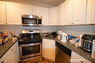 324 Saint Paul St, Unit 4 in Brookline, MA - Building Photo