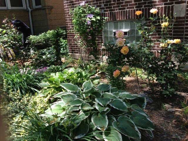 1432 W Jonquil Terrace, Unit 2