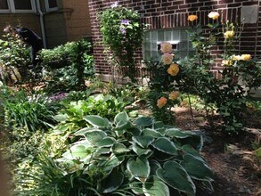 1432 W Jonquil Terrace, Unit 2 in Chicago, IL - Building Photo - Building Photo