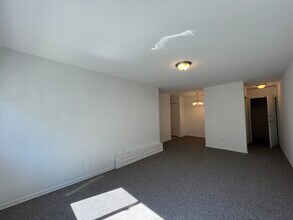 736 W Buena Ave in Chicago, IL - Building Photo - Building Photo
