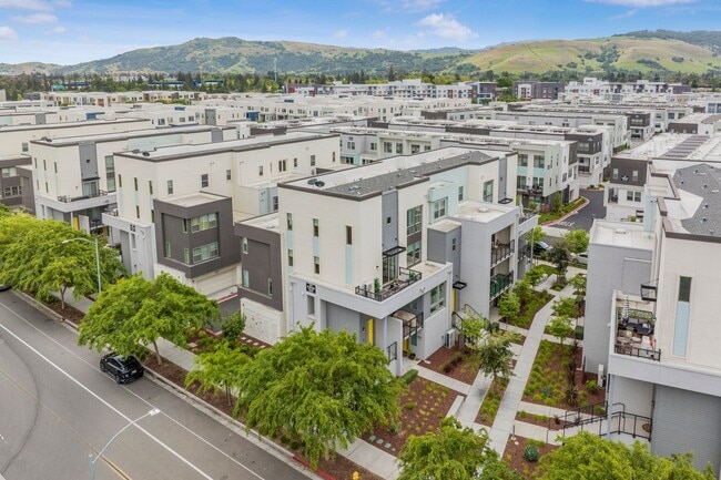 6823 Vector Ct in San Jose, CA - Building Photo - Building Photo