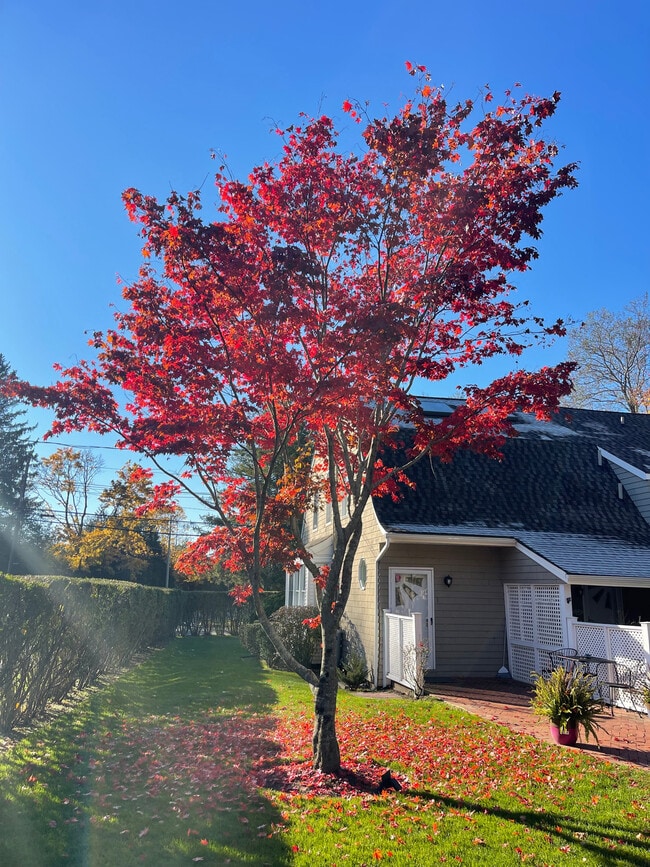 63 Baycrest Ave in Westhampton, NY - Building Photo - Building Photo