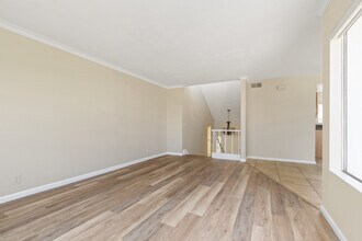 707 Calle Los Olivos in San Clemente, CA - Foto de edificio - Building Photo