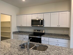 319 Robins Nest Ln in Kyle, TX - Building Photo - Building Photo
