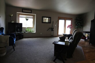 1000 Meadow Ct in Windsor, CO - Building Photo - Building Photo