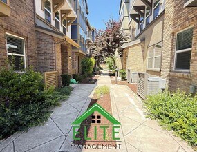 3977 Clare St in Dublin, CA - Building Photo - Building Photo