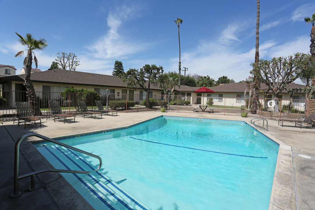 El Cortez Apartments Photo