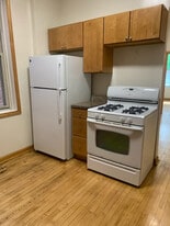 1016 S May St in Chicago, IL - Building Photo