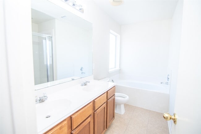 25914 Chapman Falls Dr