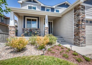 1118 Seabiscuit Dr in Colorado Springs, CO - Building Photo - Building Photo