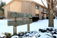 Shannon Apartments in Olivet, MI - Foto de edificio - Building Photo