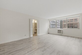 253 E Delaware Pl, Unit 12H in Chicago, IL - Building Photo - Building Photo
