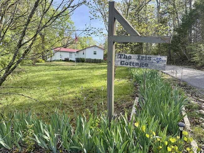 740 Finn Long Rd in Friendsville, TN - Building Photo - Building Photo