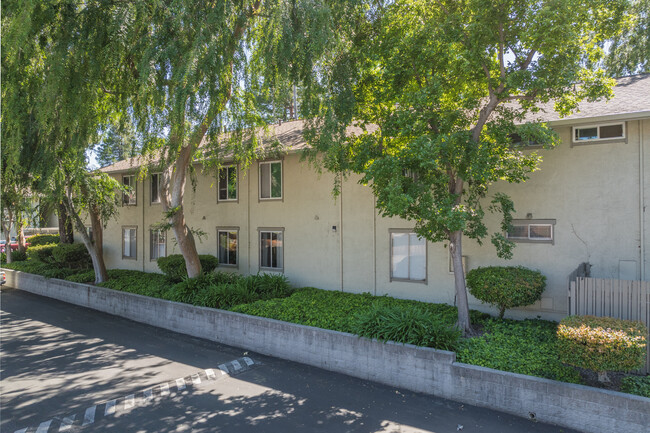 Walnut Park in Walnut Creek, CA - Building Photo - Building Photo