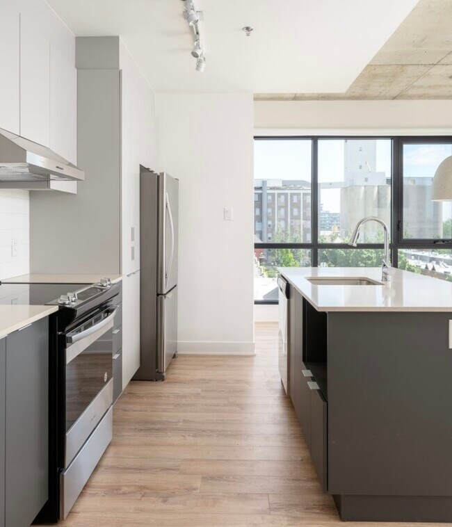 230 Dominion Rue in Montréal, QC - Building Photo - Building Photo