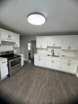 61 Woodlawn St in Springfield, MA - Building Photo