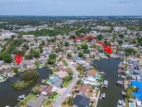 8702 Driftwood Dr in Tampa, FL - Building Photo - Building Photo