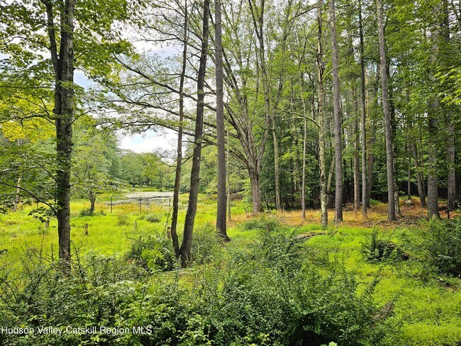 272 Yerry Hill Rd in Woodstock, NY - Building Photo - Building Photo