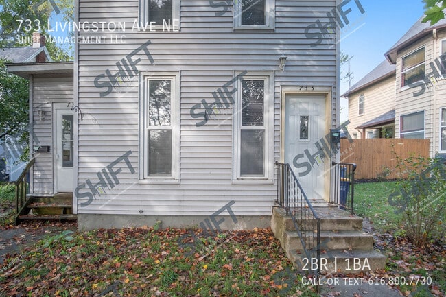 733 Livingston Ave NE in Grand Rapids, MI - Building Photo - Building Photo