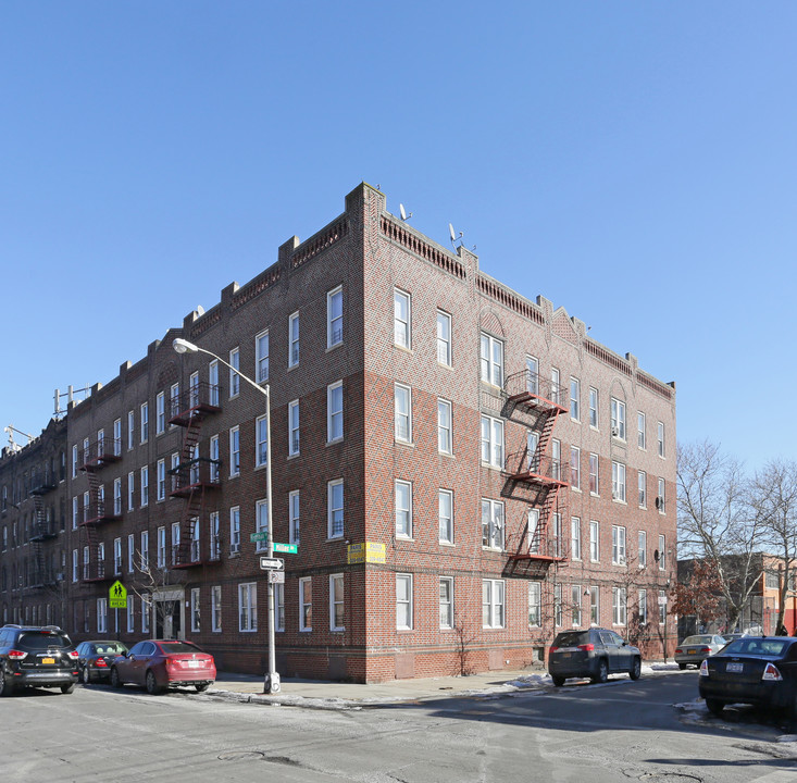 Hegeman Apartments in Brooklyn, NY - Foto de edificio