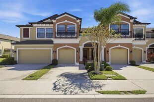 11539 Crowned Sparrow Ln in Tampa, FL - Building Photo