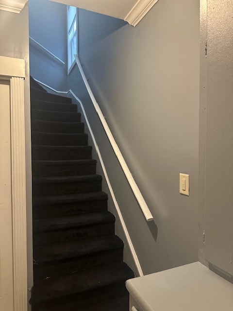 101 Avenue F in Bayonne, NJ - Foto de edificio - Building Photo