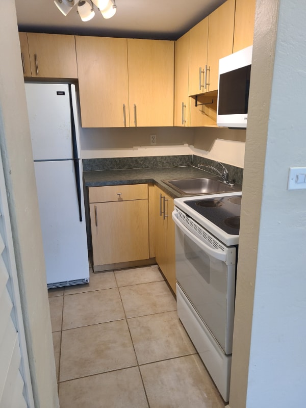 8607 SW 68th Ct in Miami, FL - Building Photo - Building Photo