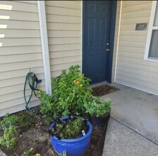 Wedgewood Arms Apartments in Greenville, NC - Foto de edificio - Building Photo