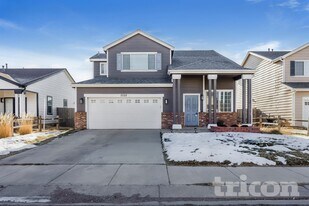 7727 Barn Owl Dr in Fountain, CO - Building Photo