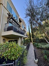 2406 Torrey Pines Rd in La Jolla, CA - Building Photo - Building Photo
