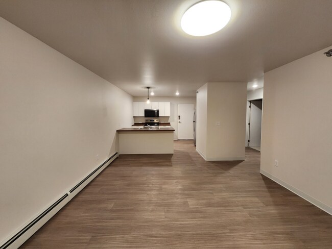 211 1st Ave NW in Hankinson, ND - Building Photo - Building Photo