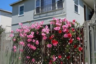 536 N Van Ness Ave, Unit Unit #2 in Los Angeles, CA - Building Photo