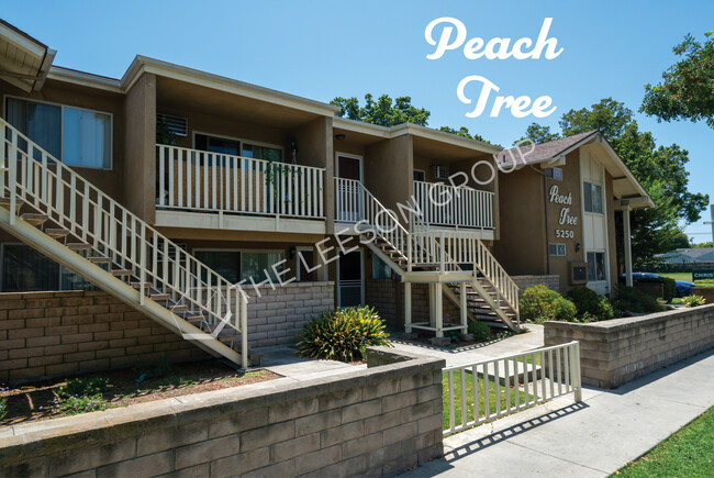 Peach Tree Apartments