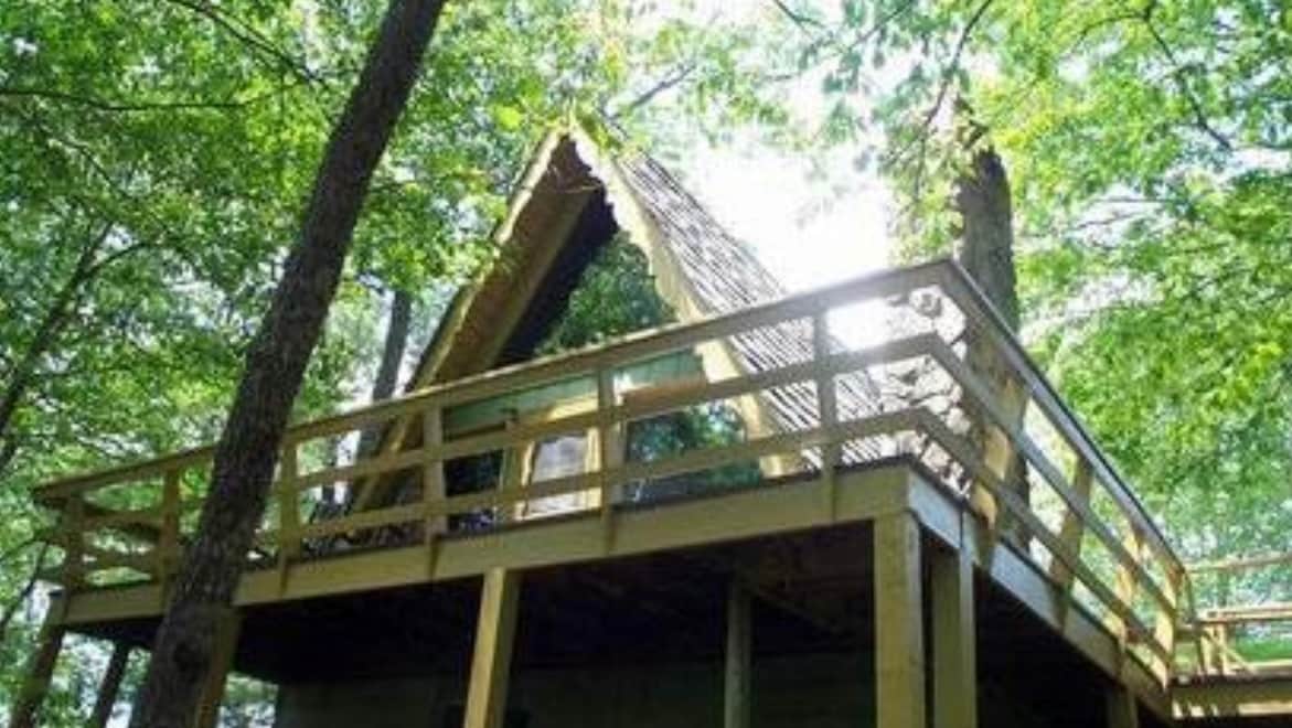 53 Bold Springs Ln in Dillard, GA - Building Photo